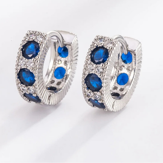 925 Sterling Silver Hoop Earrings for Women