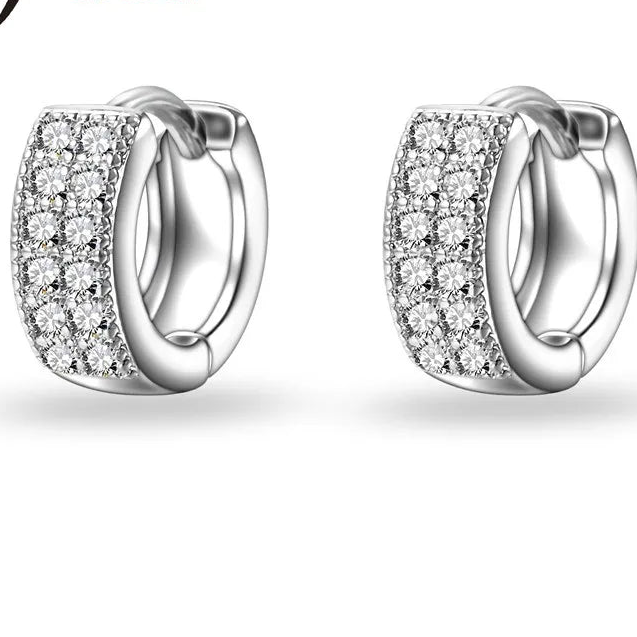 925 Sterling Silver Elegant Hoop Earrings for Women